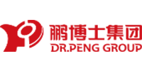 鹏博士电信传媒集团股份有限公司