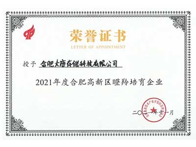 合肥大唐存储再次入选2021年度高成长瞪羚培育企业榜单