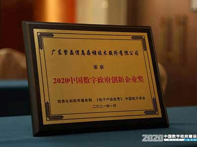 紫晶存储荣获2020中国数字政府创新企业