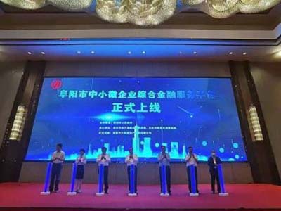 阜阳市中小微企业综合金融服务平台入选安徽省“城市大脑”应用试点