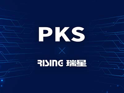 瑞星助推PKS生态发展 与各方伙伴共建数字中国