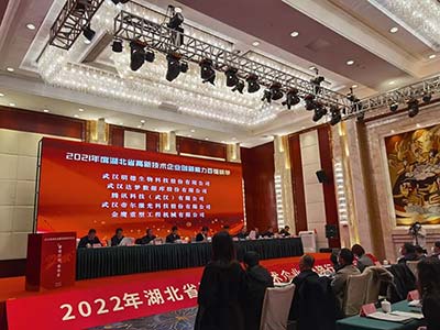 达梦数据荣登2021年度湖北省高新技术企业百强榜单
