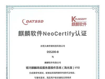 合肥大唐存储获得麒麟软件NeoCertify认证 共促信创生态融合发展