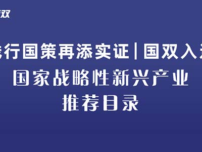 国双入选《国家战略性新兴产业推荐目录》