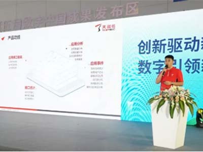 天融信“基于应用接口风险监测的解决方案”亮相数字中国建设成果展
