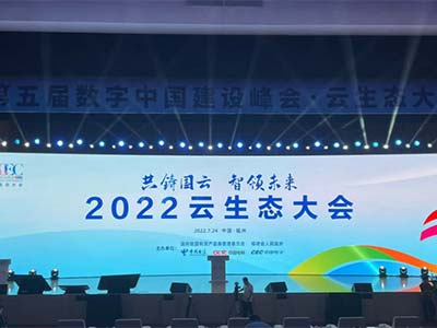 不一样的精彩 麒麟软件亮相第五届数字中国建设峰会