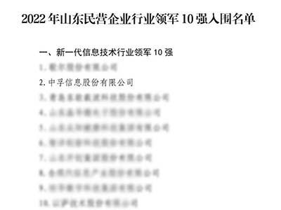 中孚信息入选“山东省新一代信息技术行业领军10强”