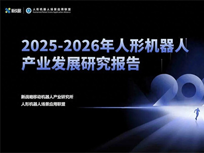 2025人形机器人行业报告：宇树出货量与市场占比双第一