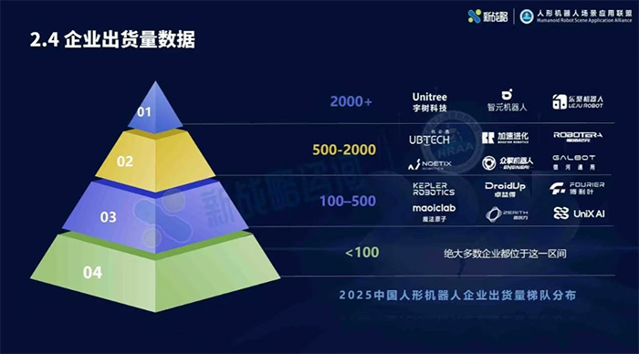 2025人形机器人行业报告：宇树出货量与市场占比双第一